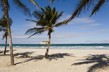 Beach on island Margarita, Venezuela clipart