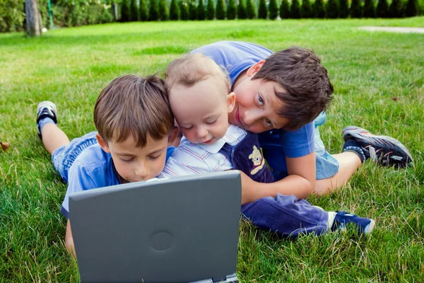 Три симпатичных брата учатся на компьютере — стоковое фото