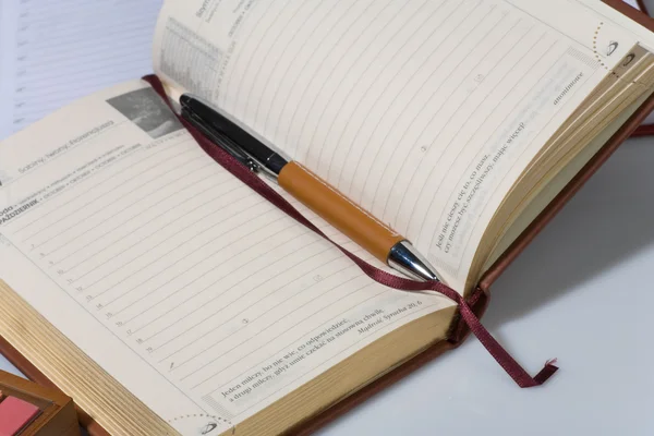 Organisator, pen, boeken. — Stockfoto