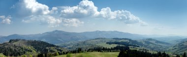 Panorama Carpathian mountains clipart