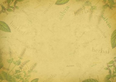 Herbal background on old paper clipart