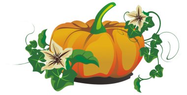 Vector pumpkin for halloween design clipart