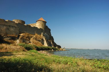 Old moldavian fortress on the river bank clipart