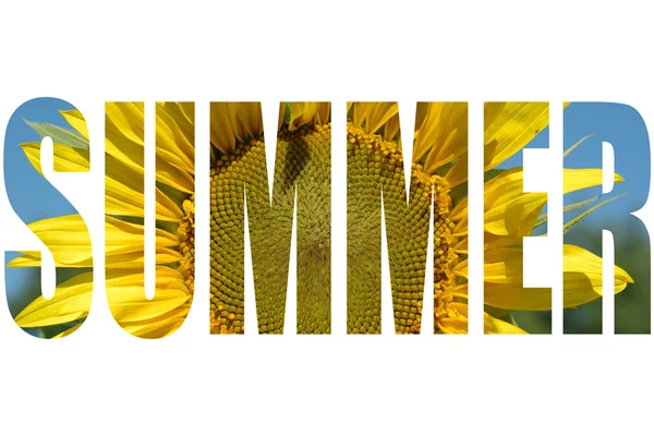 stock image Word Summer with sunflower texture