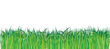 Vector Green grass clipart