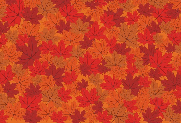 Herbst Ahorn Blätter Vektor Hintergrund — Stockvektor