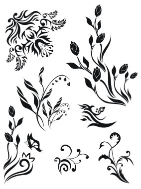 vector floral desenler koleksiyon