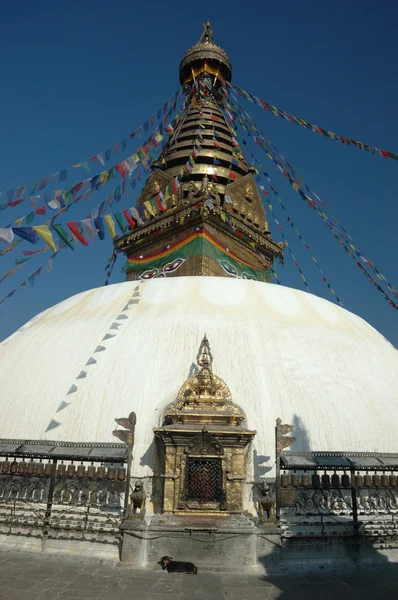 Swayambhunath stupa in Kathmandu — Stock Photo, Image