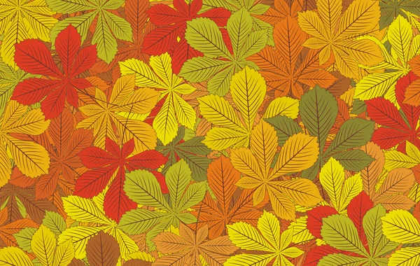 Podzimní listí jírovce vektorové zpět — Stockový vektor