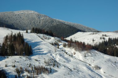 Karpat Dağları, Ukrayna