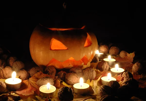 Halloween pumpkin still life — Stock Photo, Image