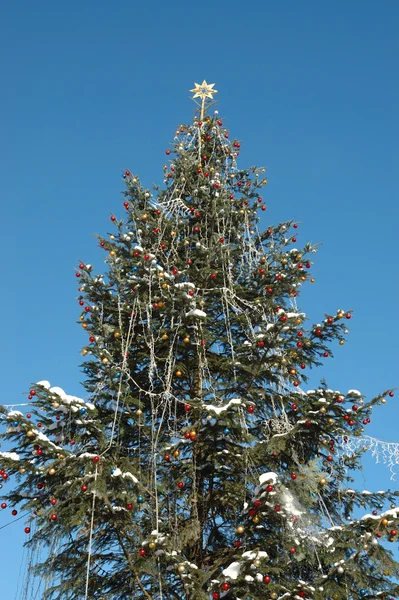 Kerstboom met gouden ster — Stockfoto