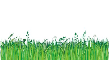 Green grassi- vector illustration clipart