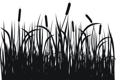 Grass vector silhouette clipart