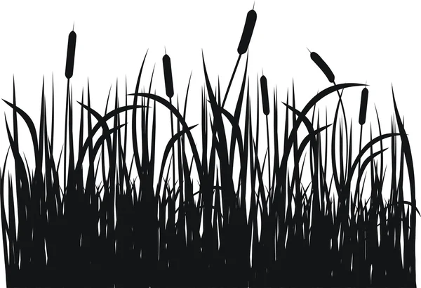 Silhouette vectorielle d'herbe — Image vectorielle