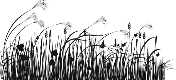 Grass vector silhouette — Stock Vector
