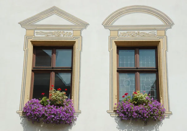 Två fönster med violetta blommor — Stockfoto