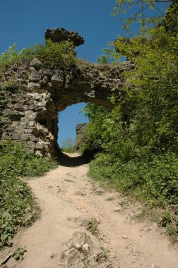 Ruins of medieval castle clipart