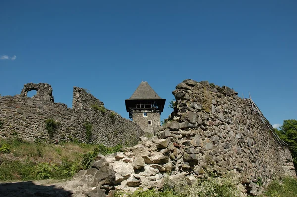 村 nevicke の城hrad ve vesnici nevicke — ストック写真