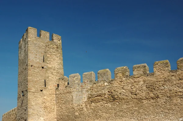Wall of old moldavian fortress — Stock Photo, Image