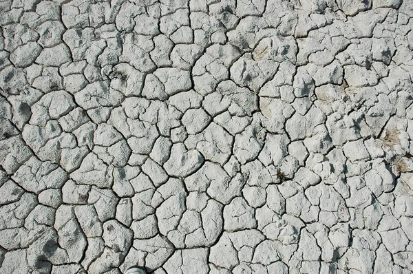Textura seca do solo — Fotografia de Stock