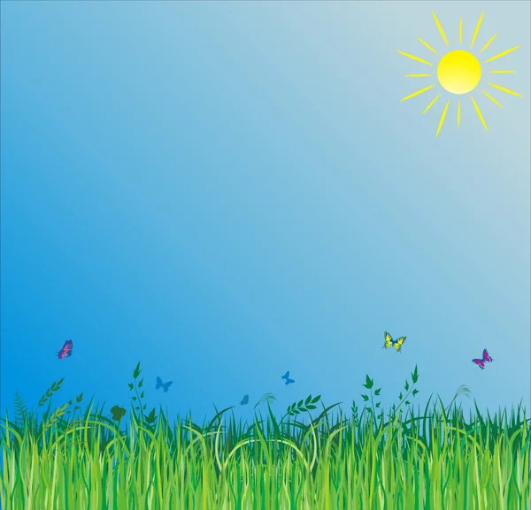 Summer background with green grass — Stock Vector