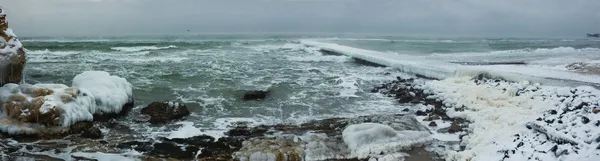 Tormenta de invierno paisaje marino —  Fotos de Stock