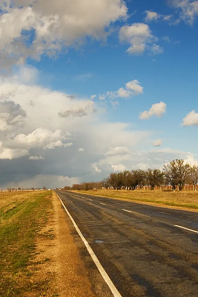 stock image Road through vineyard