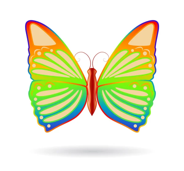 Papillon arc-en-ciel — Image vectorielle