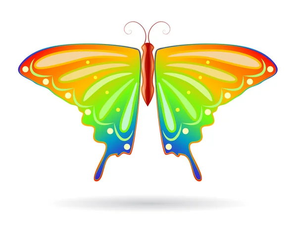 Papillon arc-en-ciel — Image vectorielle