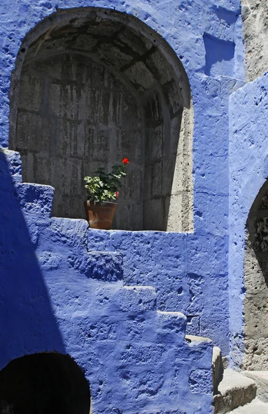 stock image Flower in a blue arch