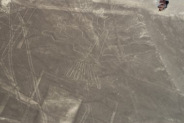 nasca-ağaç