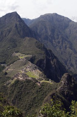 Machu Picchu - vertical clipart