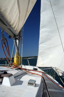 Under a sail clipart