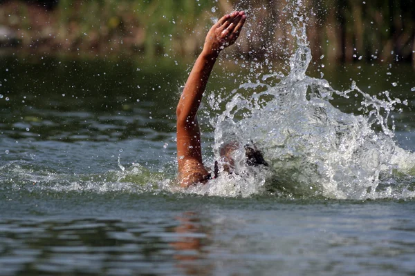 stock image The swimming person