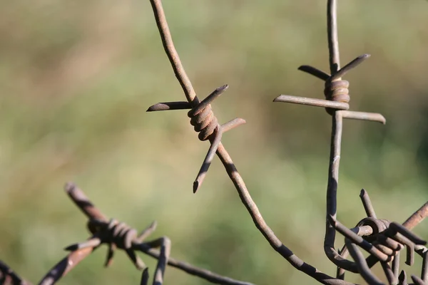 stock image Barbed wire