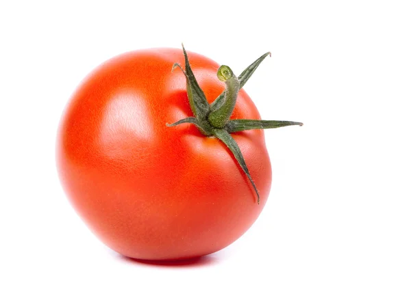 Rijpe rode tomaat — Stockfoto