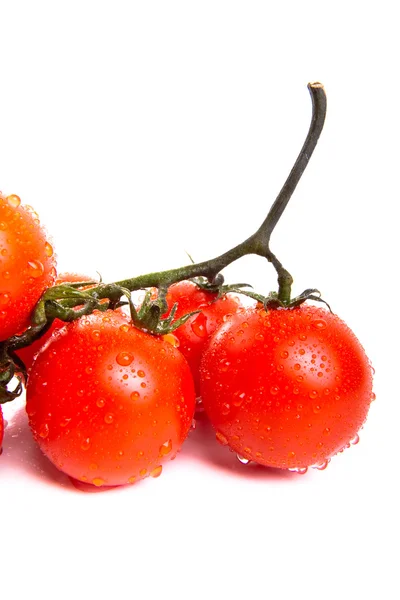Rama de tomate cherry — Foto de Stock
