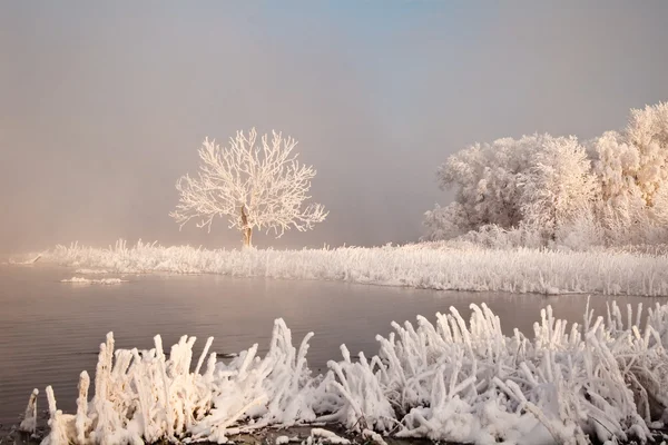 Inverno in Europa — Foto Stock