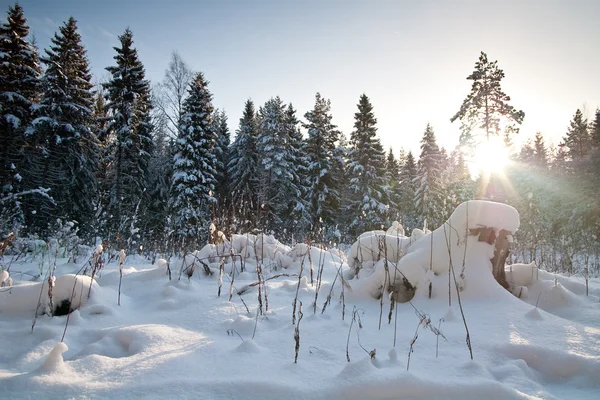 Winter in Europe — Stock Photo, Image