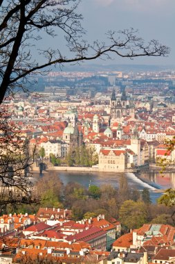 Prague at Spring clipart