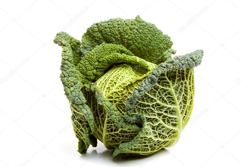 Ripe savoy cabbage