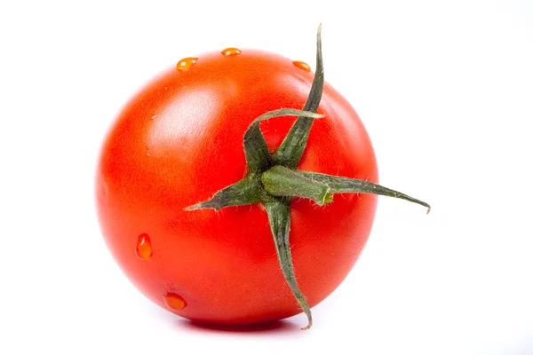 Taze kırmızı domates — Stok fotoğraf