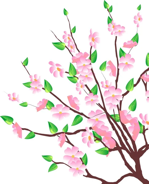 Flowered tree — Stock Vector