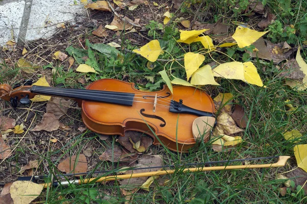 小提琴在草 — 图库照片