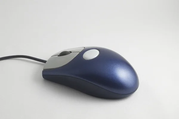 stock image Mouse