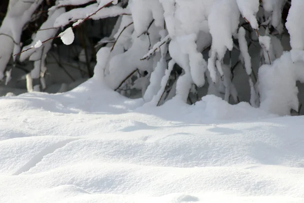 Parque de nieve escénico — Foto de Stock
