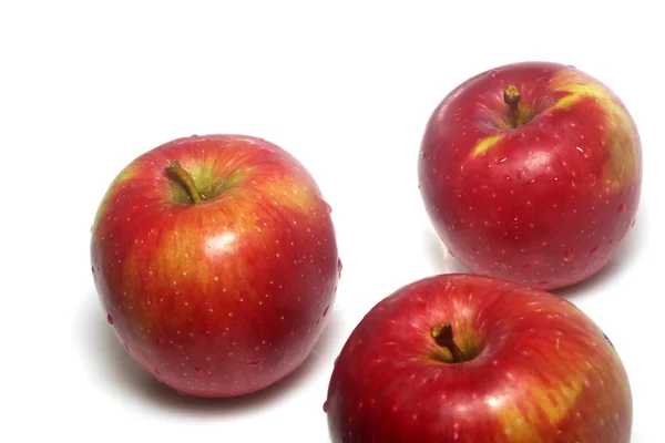 Apple macintosh, ізольовані — стокове фото