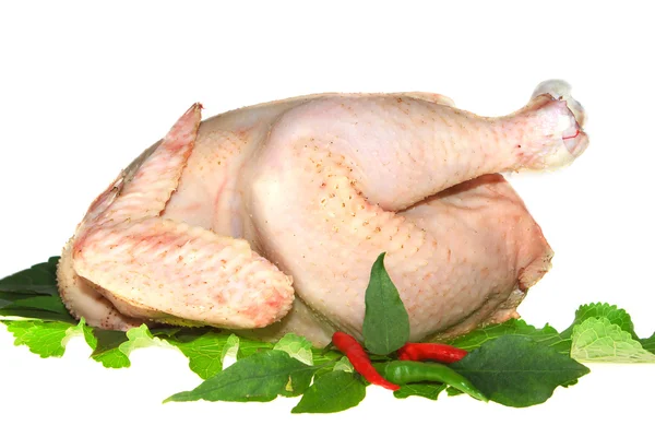 Raw chickens isolated — Stock Photo, Image