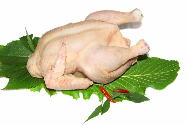 Ayam mentah terisolasi — Stok Foto